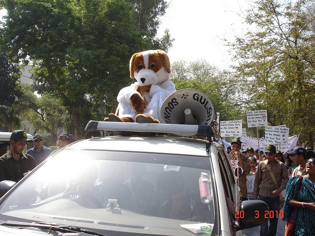 walk for animals, Gurgaon