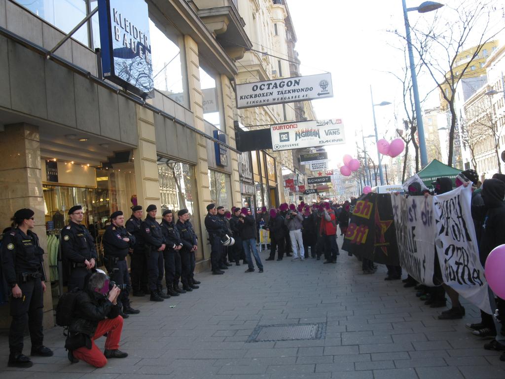 Demonstration in Vienna, February 27, 2010