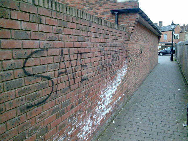 save viviary green wedge