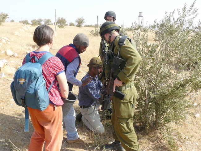 Occupation forces and olive pickers