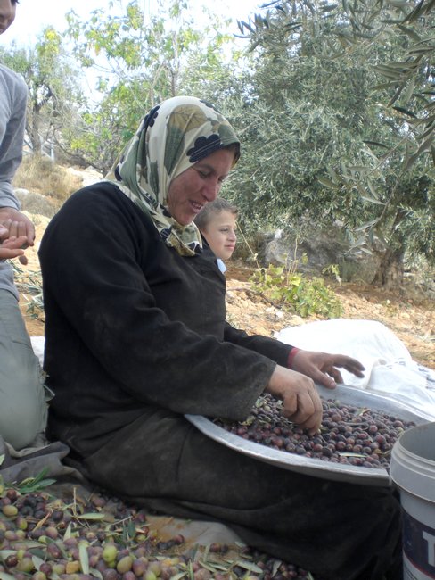 With Palestinian farmers