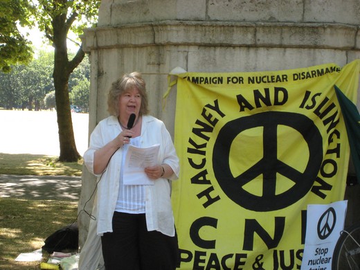 Jean Lambert MEP, Green Party