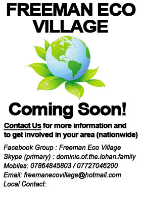 FREEMAN ECO VILLAGE FLYER