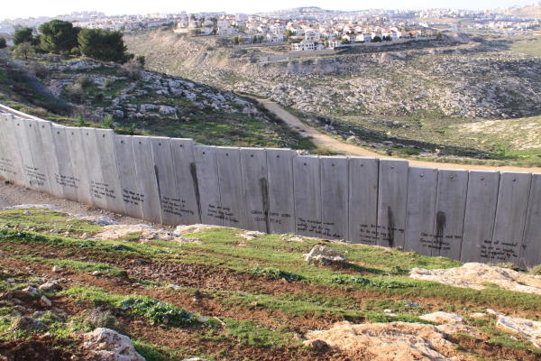 celtic palestine graffiti 3