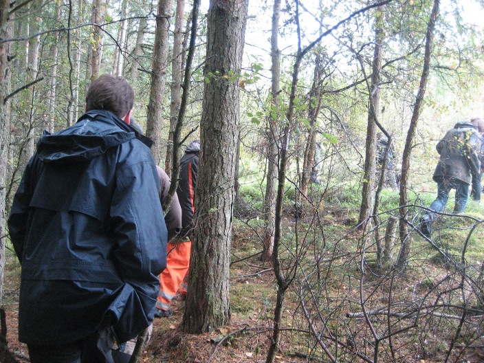 walking around the site