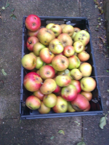 There were 5 times as much as this