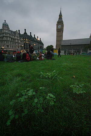 A tatty and Unkempt Square.