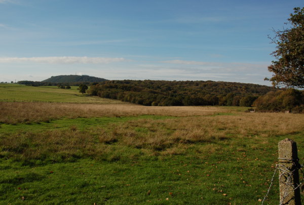 View of the Wrekin looking across Site A (the south)
