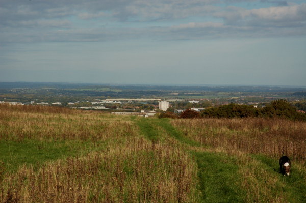 View of Wellington, Telford, from Site B (the north)