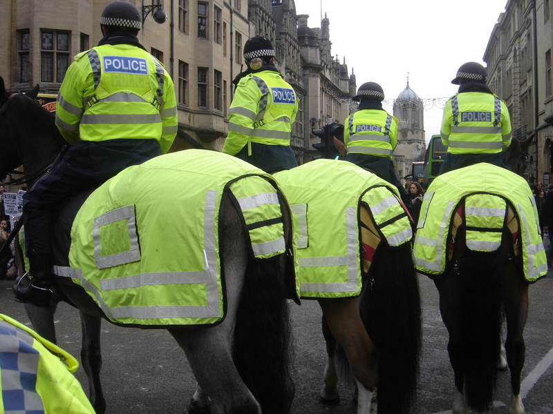 Hi-Vis Horses
