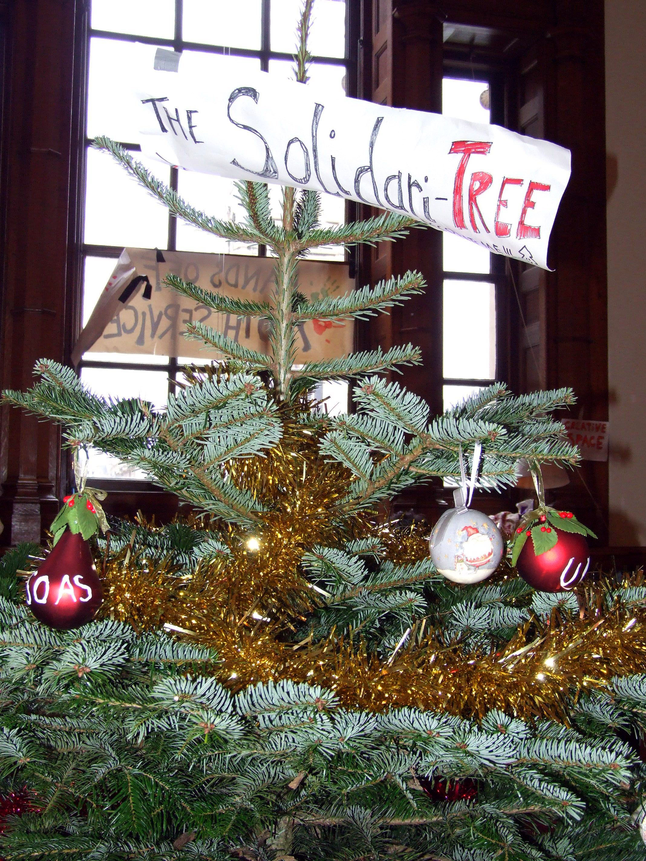 Solidari Tree!