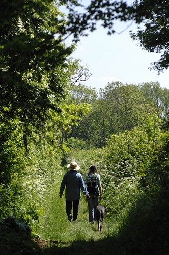 Photo of land to be desecrated, by Paul Glendell 2010