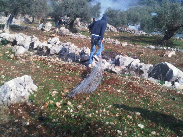 A protester dragging a piece of the Barrier back to the village in Bil'in