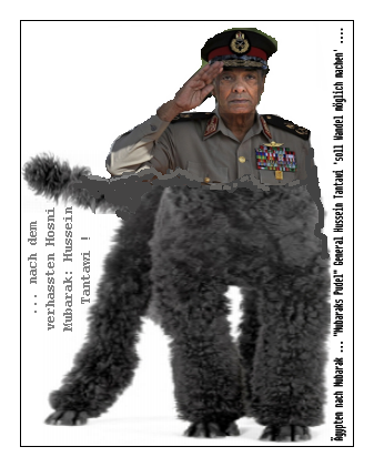 Mubaraks Pudel Hussein Tantawi