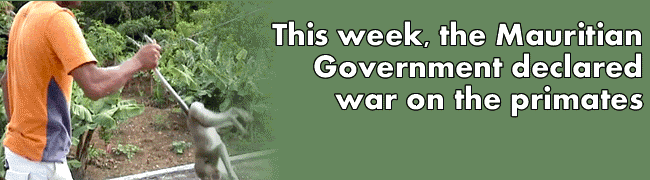 Smash Air France-KLM!