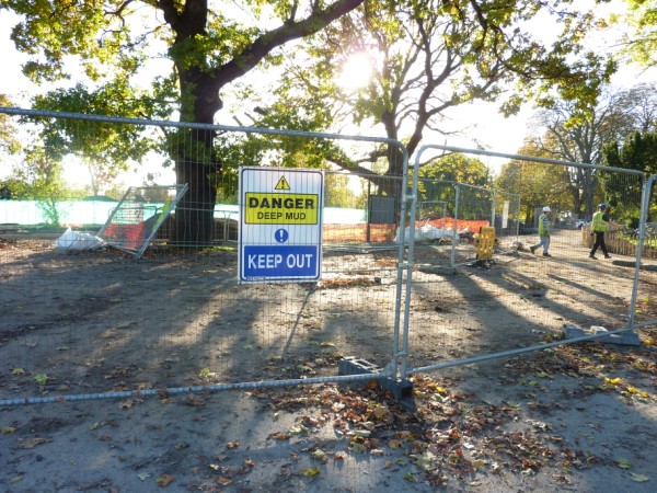 deer living on building site
