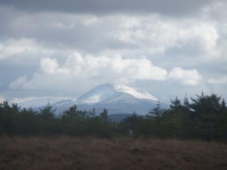 view from the top of bender