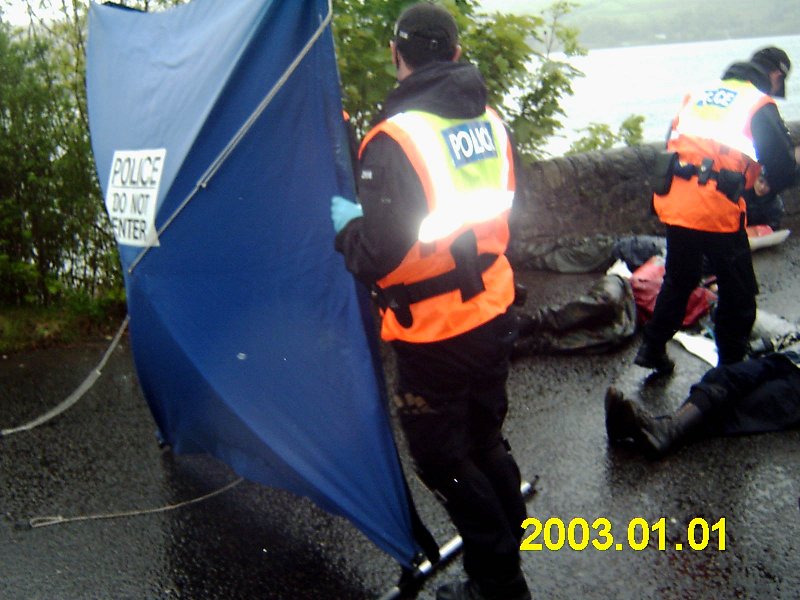 Here comes the cavalry !!!