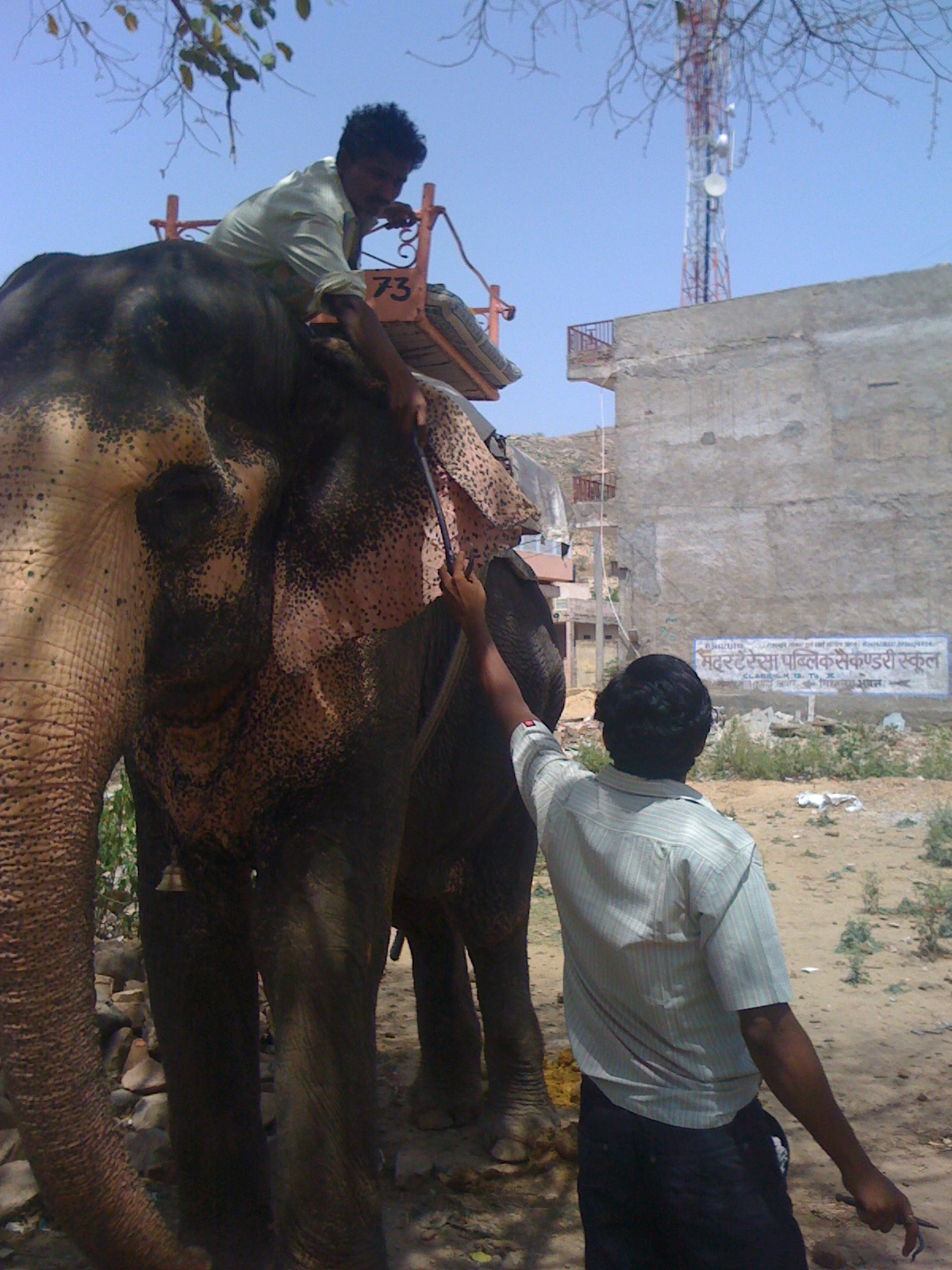 OIPA in India member snatching Iron Ankush