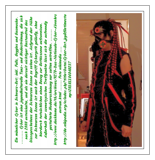 Cyber in Schwarz-Rot ...