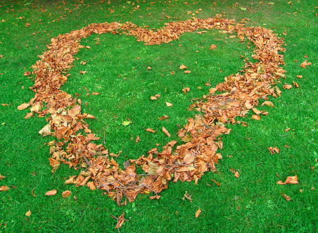 B6. Leaf HeART