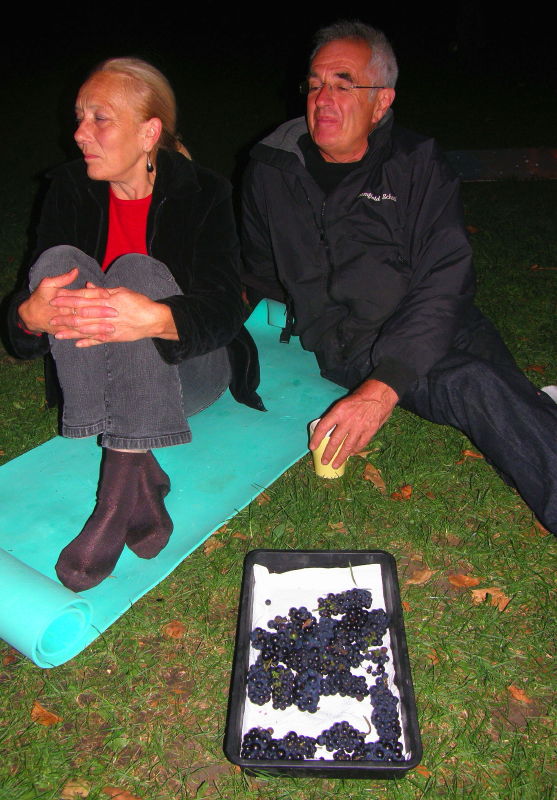 C1. Urban Agronomist Aficionados Share South London Allotment Grown Grapes