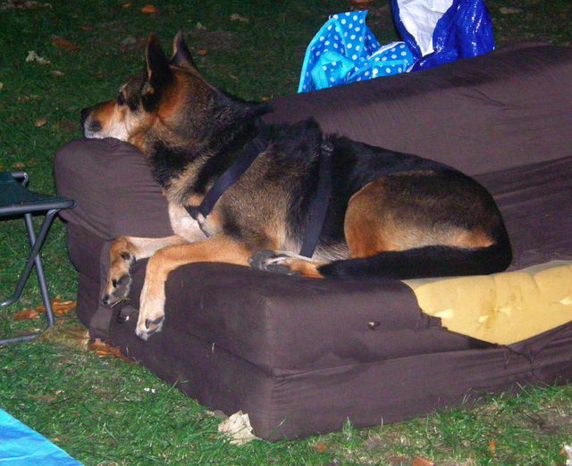 D5: Cinema Googie – ALL the Best Cinemas Have One