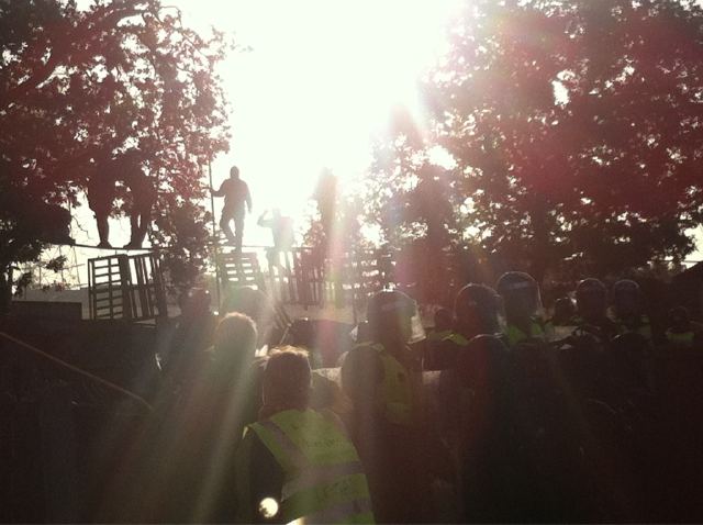 People in trees and on rope walkways at back entrance of #DaleFarm