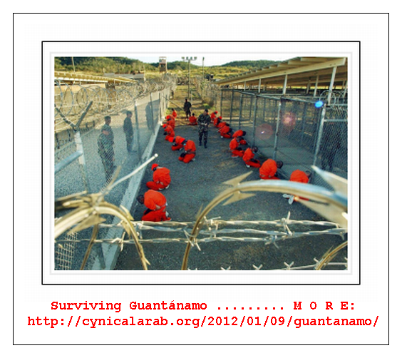 Surviving Guantánamo ...