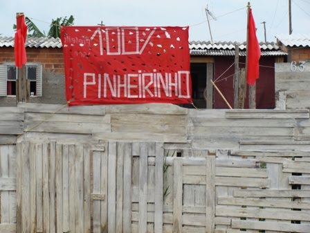 100% Pinheirinho