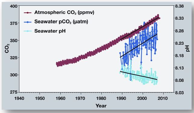 Correlation of CO2 in atmosphere, seawater and seawater pH (acidity)