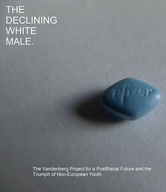 The Declining White Male.