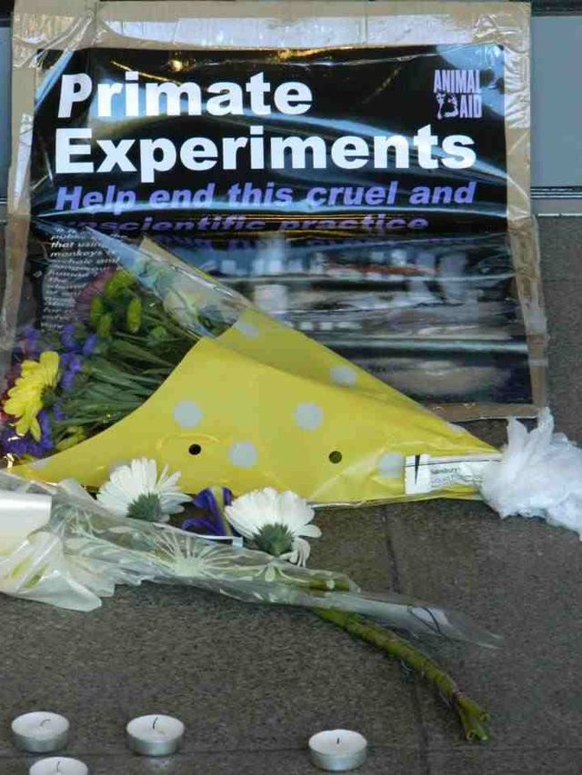 Close Newcastle Animal Lab