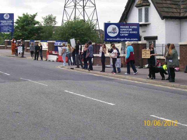 Dogs 4 us Manchester