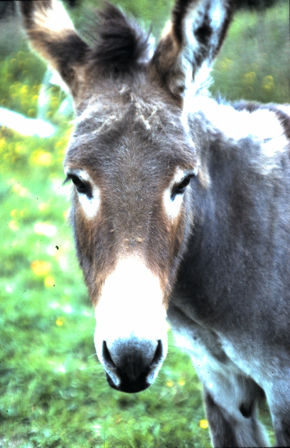 HEAR THIS YOU FOOLISH AND SENSELESS PEOPLE!