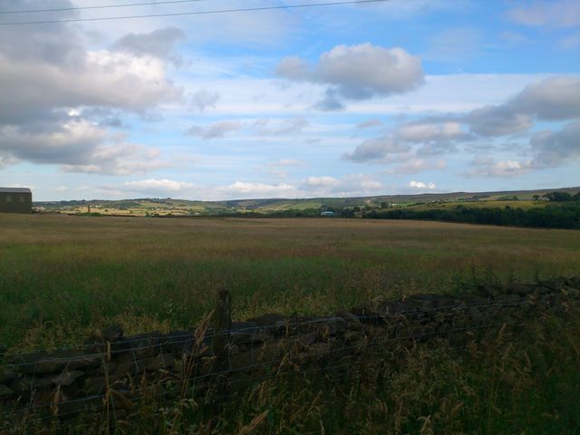 notic blue building where this shite is