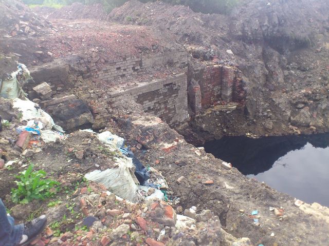 exactly what is in this land and in that black soup?