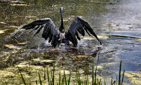 Romney Wants To Double OffShore Drilling