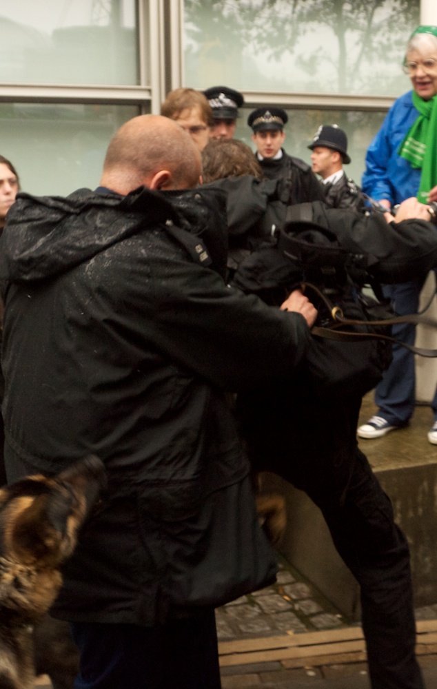 dog attacks photographer