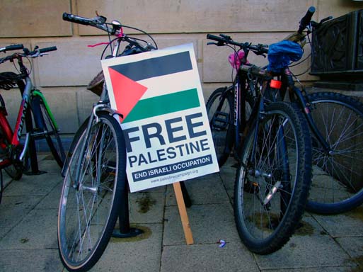 End the cycles of violence!