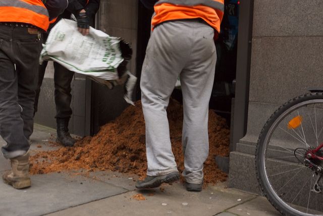 the special delivery