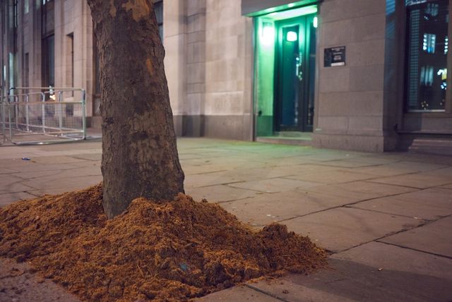 indian commission illegal dumping?