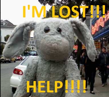 "Crazy" Traveling Rabbit