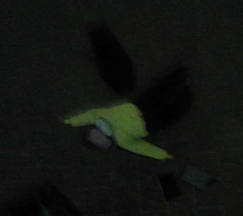 Cameron after falling