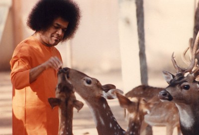 Sathya Sai Baba, Guru Of Over 100 Million