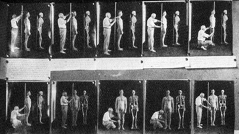Eugenics Nazi Germany measuring bodies