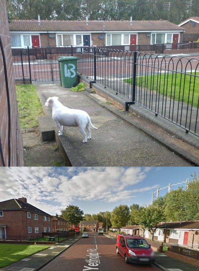 Lynda Garrettt - North East EDL address and street.