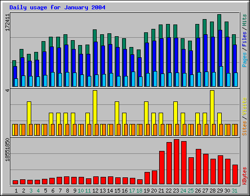 Daily usage for January 2004